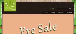 【Sasha Store】という怪しい偽通販サイトを徹底解説!