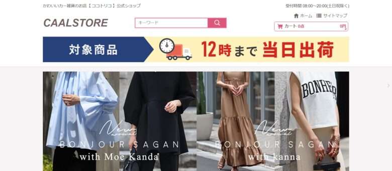 【CAALSTORE】という怪しい偽通販サイトを徹底解説！