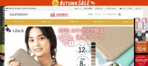 【SALEFEEDOV】という怪しい偽通販サイトを徹底解説!